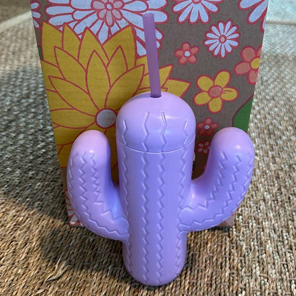 Fab fit fun cactus cup